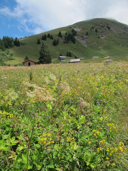 Hiking in the portes-du-soleil