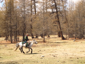 Young boy riding a horse in northern Mongolia