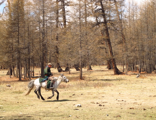 Young boy riding a horse in northern Mongolia