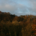 Fall Foliage in Luxembourg