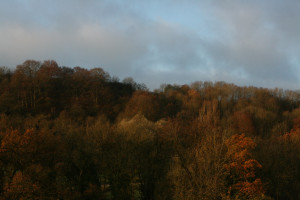 Fall Foliage in Luxembourg