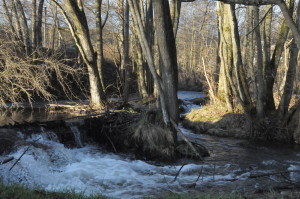 Walking in the Ardennes during our Belgian Beer Tasting weeekend