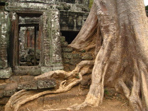 Angkor ruins