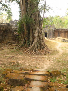 Angkor Ruins