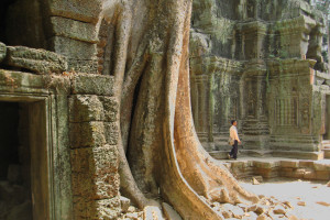 Angkor ruins