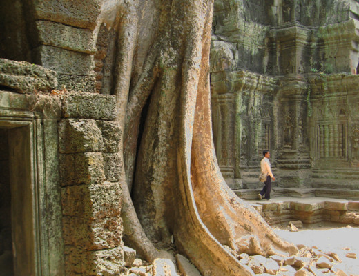 Angkor ruins