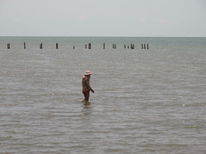 South Coast of Cambodia