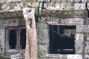 Ta Prohm Ruins