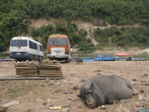 Near Muang Khua, Laos